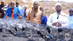"Bulshada deegaanka Xashiiska Lagu Shubo Ee Hargeisa Oo Kasoo Horjeesatay.