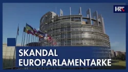 Eurozastupnica SDP-a u središtu skandala