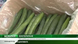 КООПЕРИРАНЕ: Кой трябва да започне инициативата