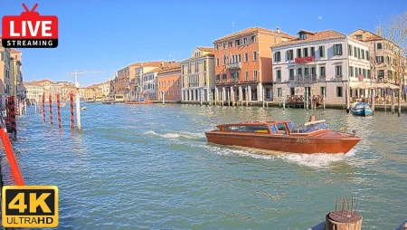 Live on Grand Canal, Venice